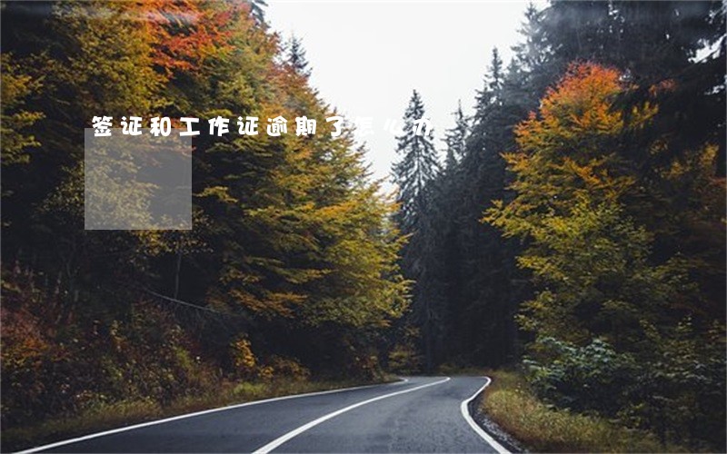 签证和工作证逾期了怎么办