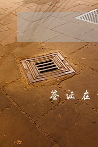 签证在老挝逾期一个多月 签证在老挝逾期一个多月