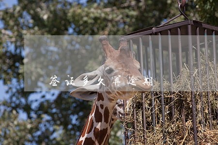 签证多久算逾期