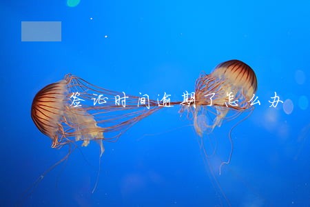 签证时间逾期了怎么办 签证时间逾期了怎么办