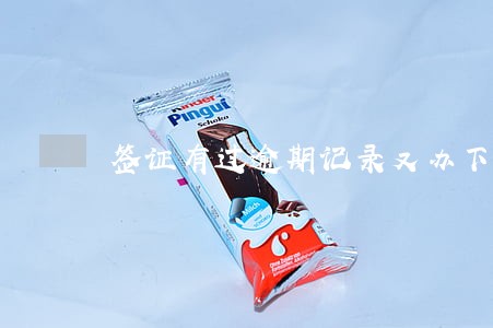 签证有过逾期记录又办下来签证 签证有过逾期记录又办下来签证