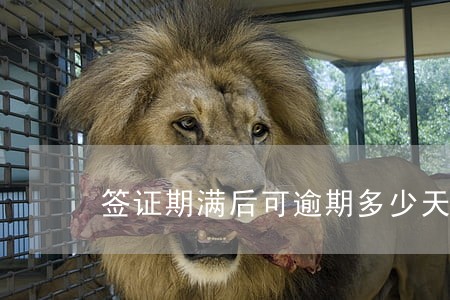 签证期满后可逾期多少天 签证期满后可逾期多少天