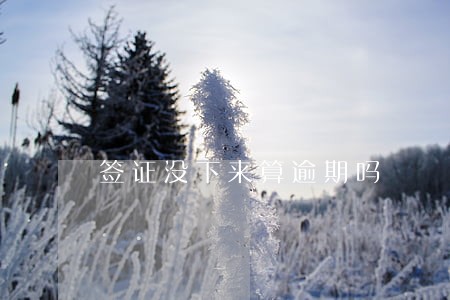 签证没下来算逾期吗 签证没下来算逾期吗