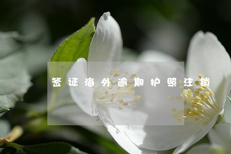 签证海外逾期护照注销 签证海外逾期护照注销