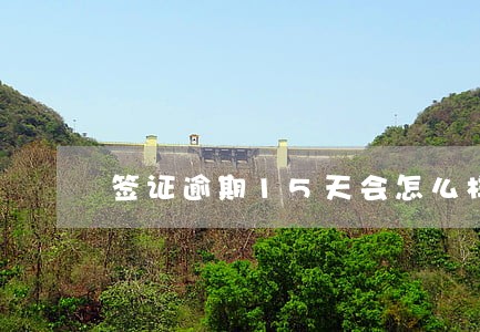 签证逾期15天会怎么样 签证逾期15天会怎么样