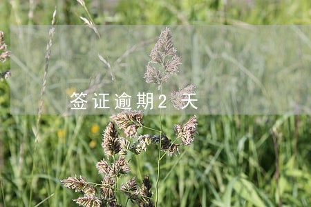 签证逾期2天 签证逾期2天