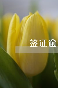签证逾期3天怎么交罚款 签证逾期3天怎么交罚款