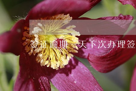签证逾期一天下次办理签证 签证逾期一天下次办理签证