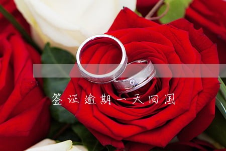 签证逾期一天回国 签证逾期一天回国