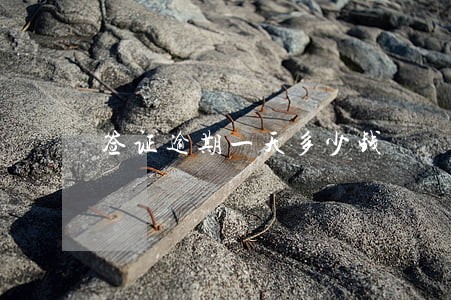 签证逾期一天多少钱 签证逾期一天多少钱