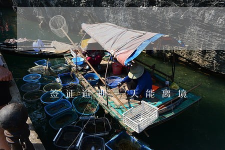 签证逾期一天能离境 签证逾期一天能离境