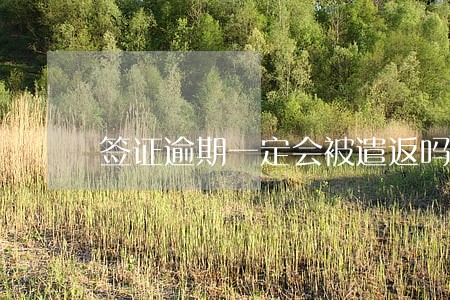签证逾期一定会被遣返吗 签证逾期一定会被遣返吗