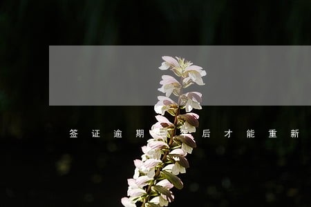 签证逾期三年后才能重新申请 签证逾期三年后才能重新申请