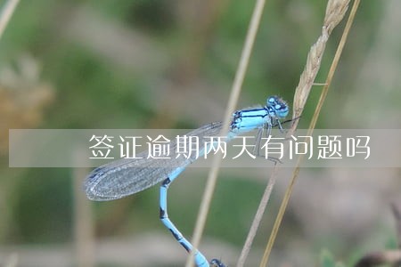 签证逾期两天有问题吗 签证逾期两天有问题吗