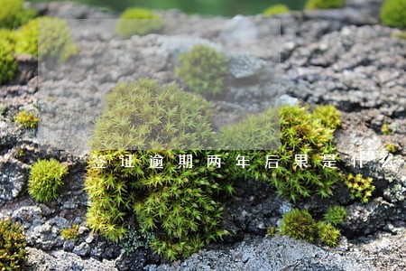 签证逾期两年后果是什么 签证逾期两年后果是什么