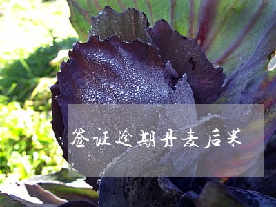 签证逾期丹麦后果 签证逾期丹麦后果