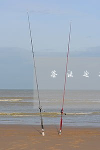 签证逾期九个月 签证逾期九个月