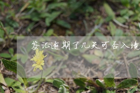 签证逾期了几天可否入境中国 签证逾期了几天可否入境中国