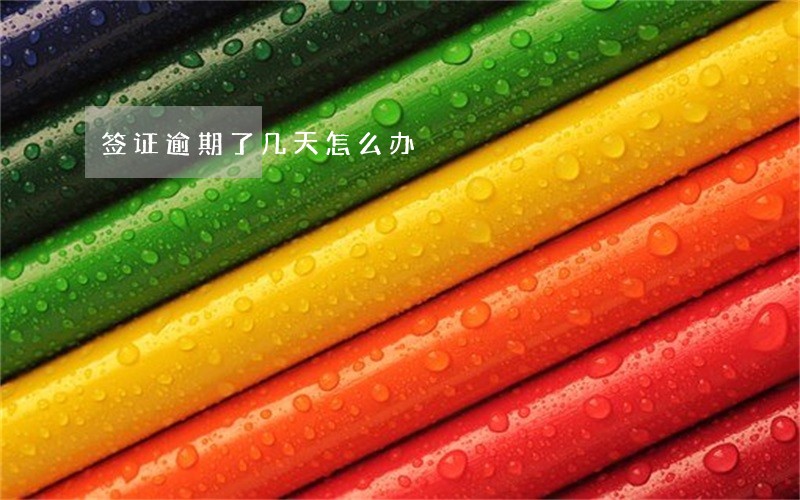 签证逾期了几天怎么办 签证逾期了几天怎么办
