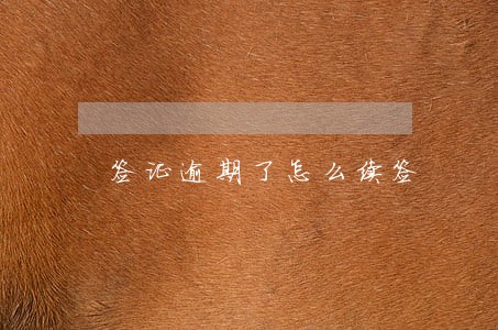 签证逾期了怎么续签 签证逾期了怎么续签