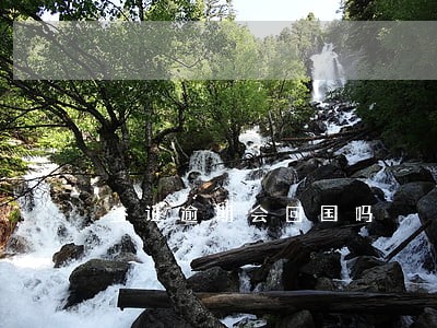 签证逾期会回国吗