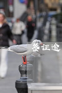 签证逾期会被禁止出境吗 签证逾期会被禁止出境吗