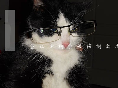 签证逾期会被限制出境吗 签证逾期会被限制出境吗