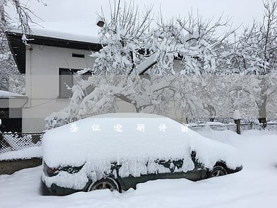 签证逾期停留 签证逾期停留