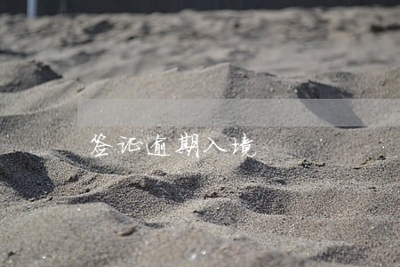 签证逾期入境 签证逾期入境