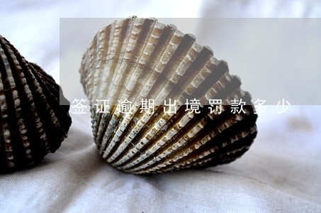 签证逾期出境罚款多少 签证逾期出境罚款多少