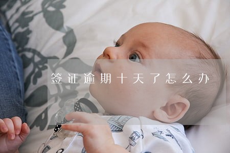 签证逾期十天了怎么办 签证逾期十天了怎么办