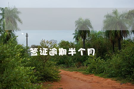 签证逾期半个月 签证逾期半个月