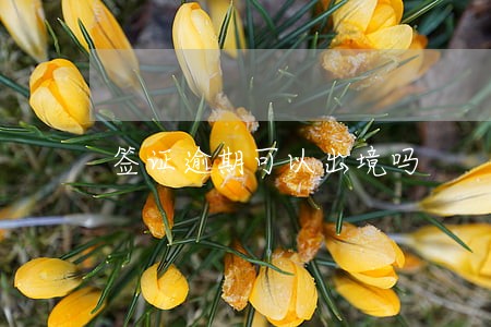 签证逾期可以出境吗 签证逾期可以出境吗