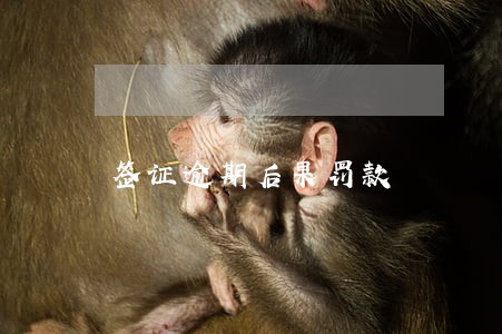 签证逾期后果罚款 签证逾期后果罚款