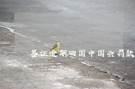 签证逾期回国中国会罚款么 签证逾期回国中国会罚款么