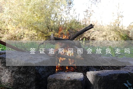 签证逾期回国会放我走吗 签证逾期回国会放我走吗