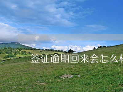 签证逾期回来会怎么样 签证逾期回来会怎么样