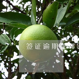 签证逾期在哪罚款 签证逾期在哪罚款