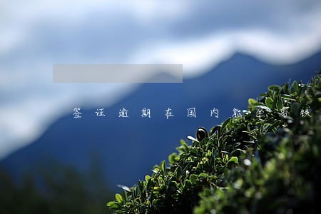 签证逾期在国内能坐高铁吗 签证逾期在国内能坐高铁吗