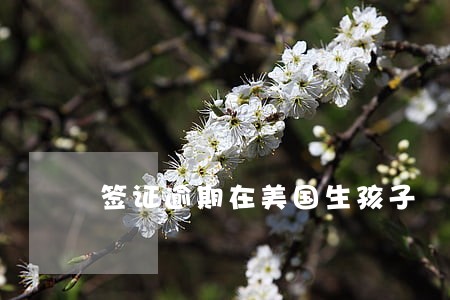 签证逾期在美国生孩子 签证逾期在美国生孩子