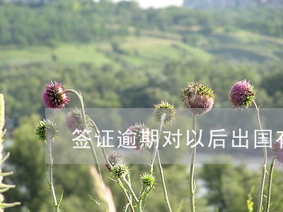 签证逾期对以后出国有影响吗 签证逾期对以后出国有影响吗