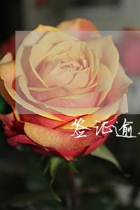 签证逾期很麻烦吗