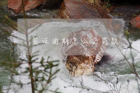 签证逾期怎么交罚款 签证逾期怎么交罚款