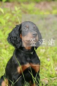 签证逾期怎么处罚 签证逾期怎么处罚