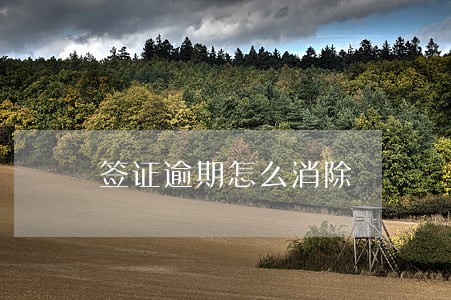 签证逾期怎么消除 签证逾期怎么消除