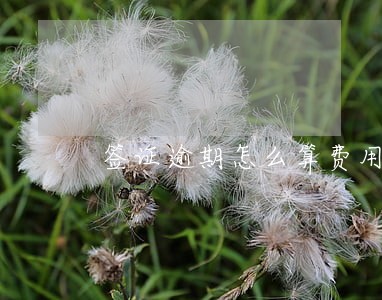 签证逾期怎么算费用的 签证逾期怎么算费用的
