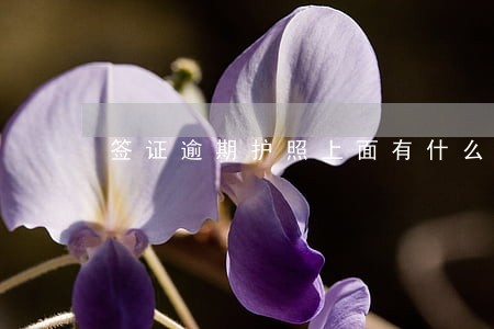 签证逾期护照上面有什么 签证逾期护照上面有什么
