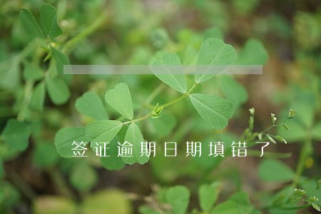 签证逾期日期填错了 签证逾期日期填错了