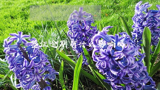 签证逾期有什么影响吗 签证逾期有什么影响吗
