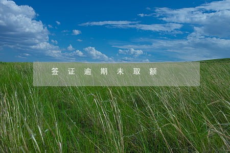 签证逾期未取额 签证逾期未取额